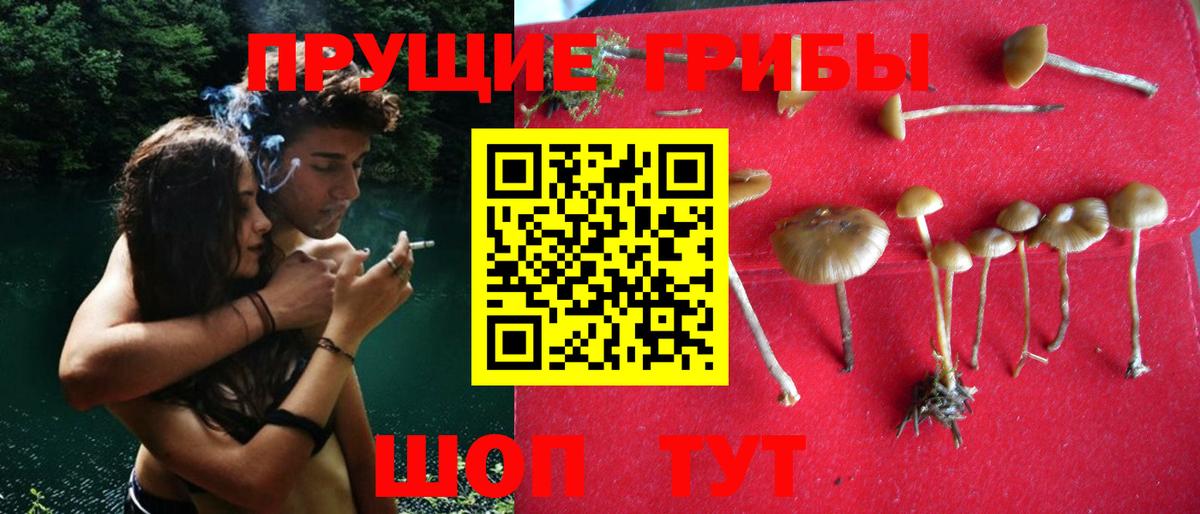 купить   Галлюциногенные грибы Psilocybine cubensis  Вход с VPN  Псилоцибиновые грибы Magic Shrooms  Печора 