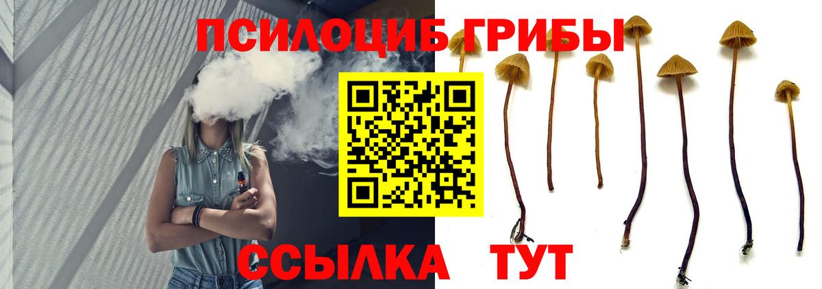 Галлюциногенные грибы прущие грибы Печора